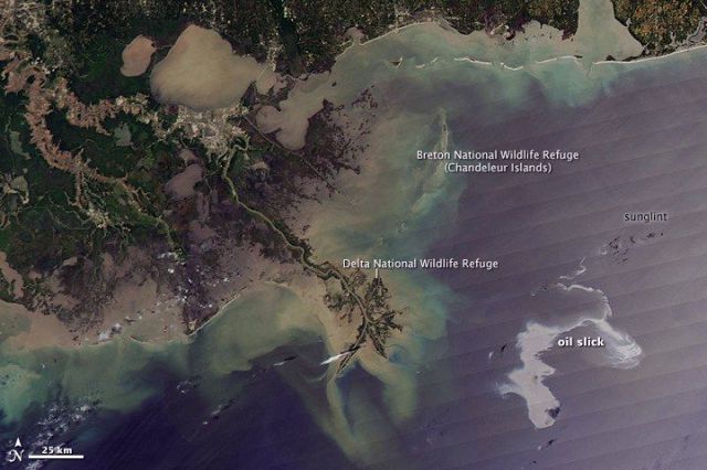 Daily picdump (127 pics)