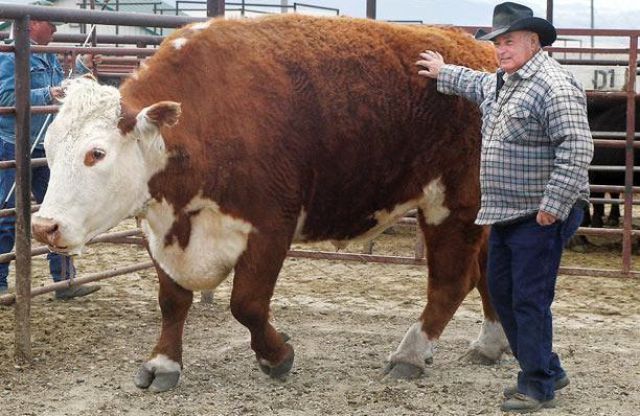 Daily picdump (127 pics)