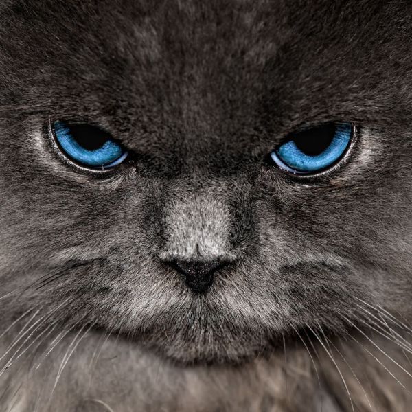 Daily picdump (133 pics)