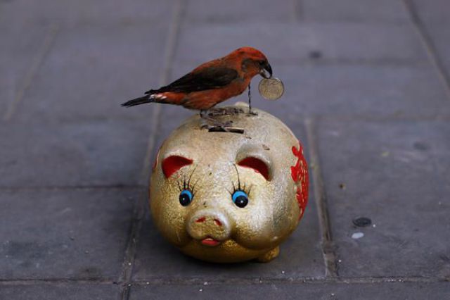 Daily picdump (133 pics)