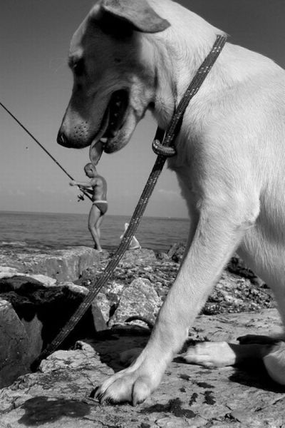 Daily picdump (133 pics)