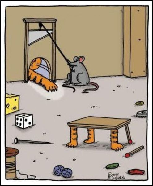 Daily picdump (133 pics)