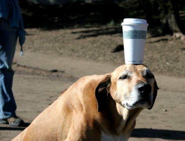 Daily picdump (133 pics)