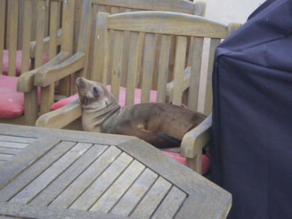 Daily picdump (133 pics)