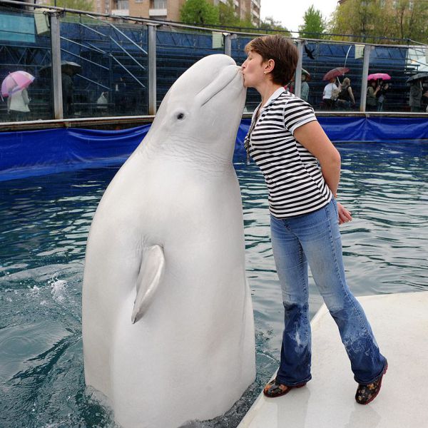 Daily picdump (133 pics)