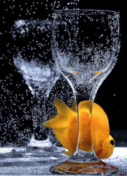 Daily picdump (133 pics)