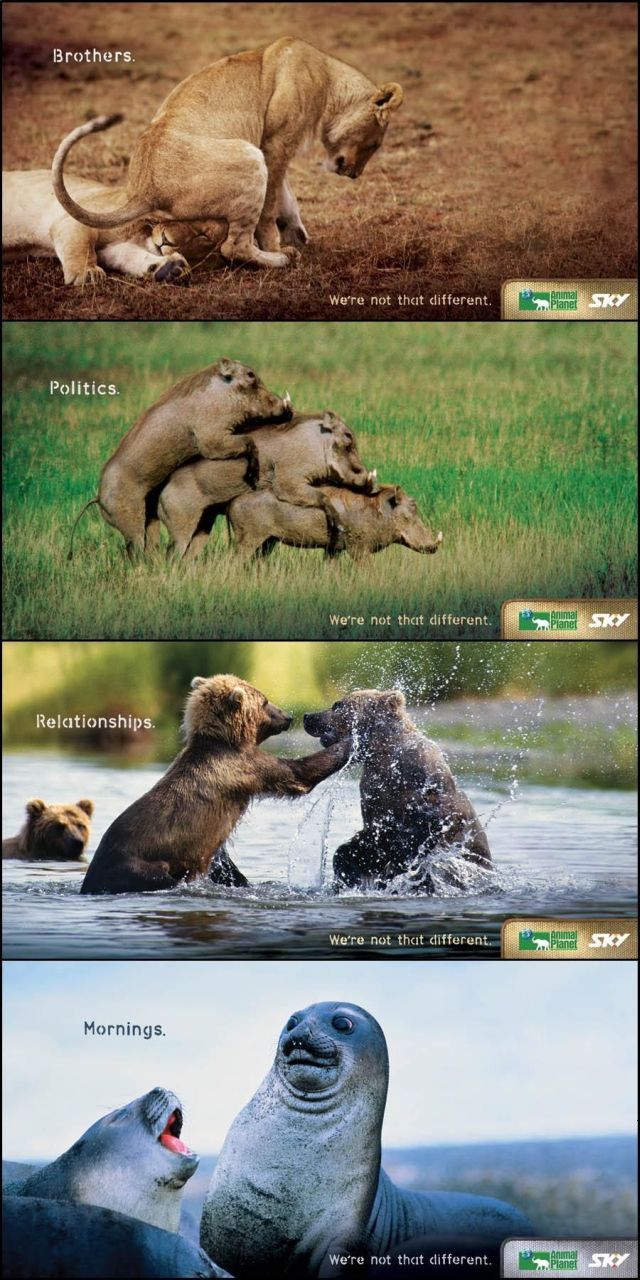 Daily picdump (133 pics)