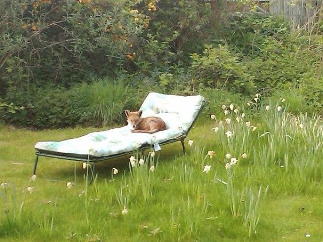 Daily picdump (133 pics)