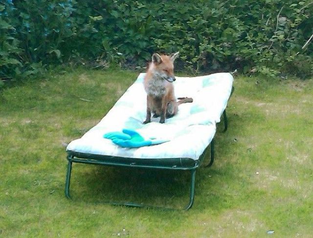 Daily picdump (133 pics)