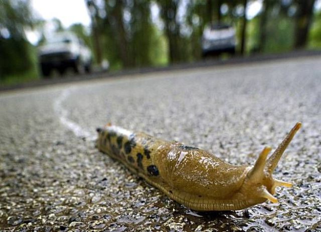 Daily picdump (133 pics)