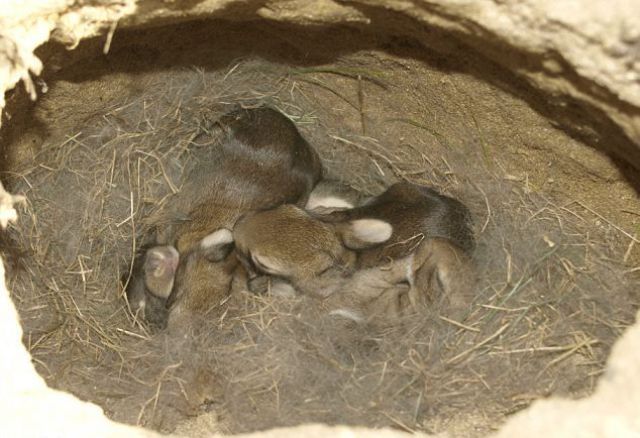 Daily picdump (133 pics)