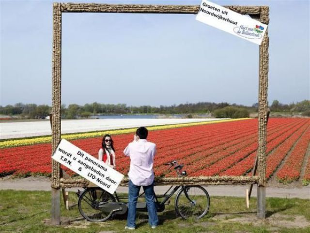 Daily picdump (133 pics)