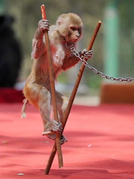 Daily picdump (133 pics)