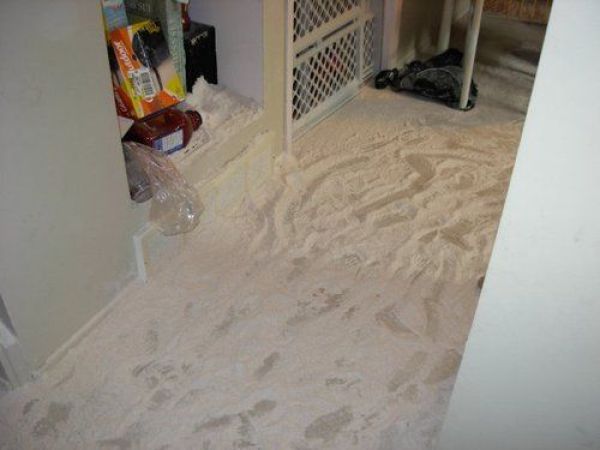 When Kids Have the Last Laugh (47 pics)