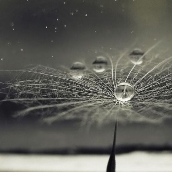 Real or Fake? Part 2 (45 pics)