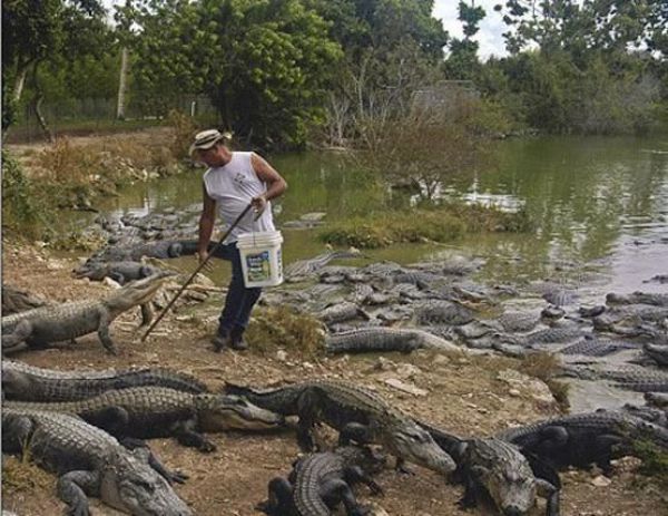 Funny ‘Oops’ Selection (43 pics)