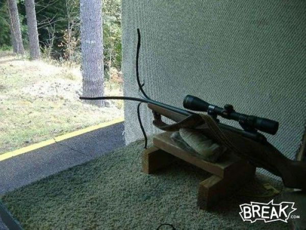 Funny ‘Oops’ Selection (43 pics)