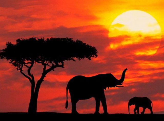 Daily picdump (128 pics)