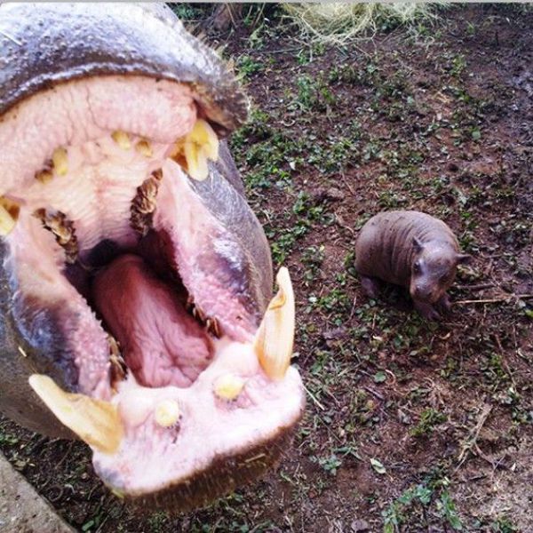 Daily picdump (128 pics)