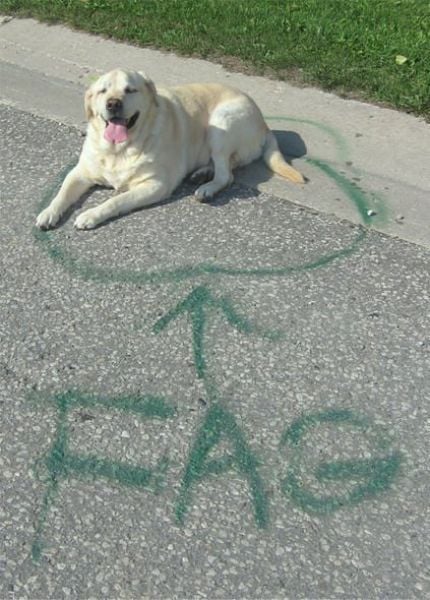 Daily picdump (128 pics)