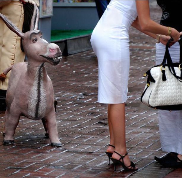 Daily picdump (128 pics)