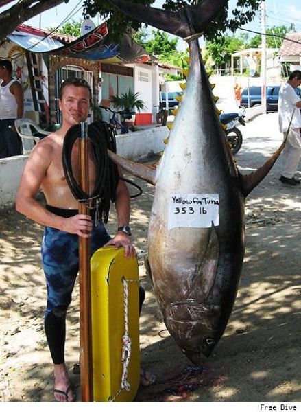 Fisherman’s Dream (31 pics) Fisherman’s Dream (31 pics)