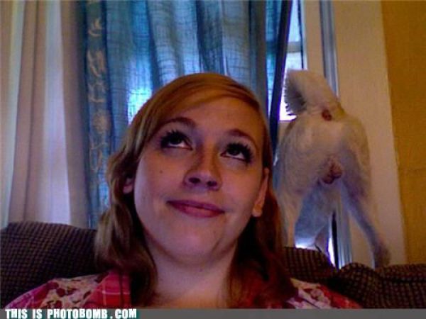 How to Spoil a Photo. Part 7 (48 pics)