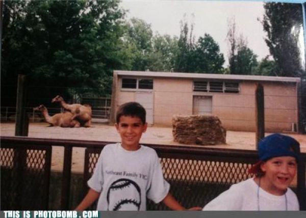 How to Spoil a Photo. Part 7 (48 pics)