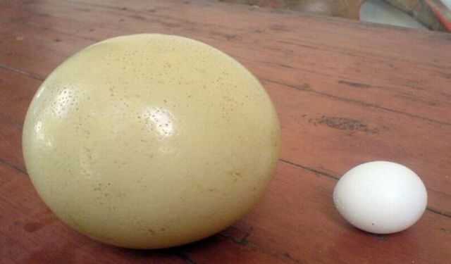 Daily picdump (124 pics)