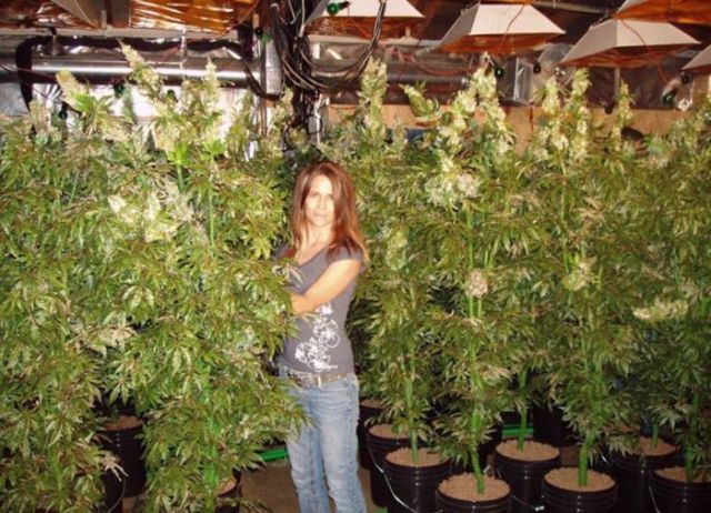 Daily picdump (124 pics)