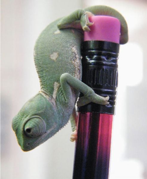 Daily picdump (124 pics)