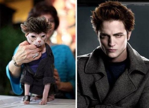 Daily picdump (146 pics)