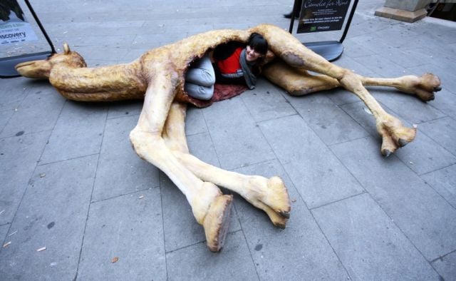 Daily picdump (146 pics)