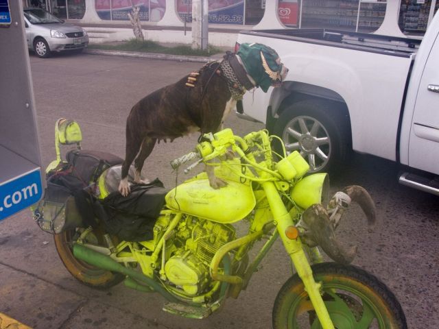 Daily picdump (158 pics)