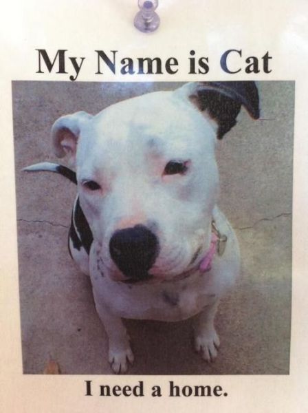 Daily picdump (158 pics)