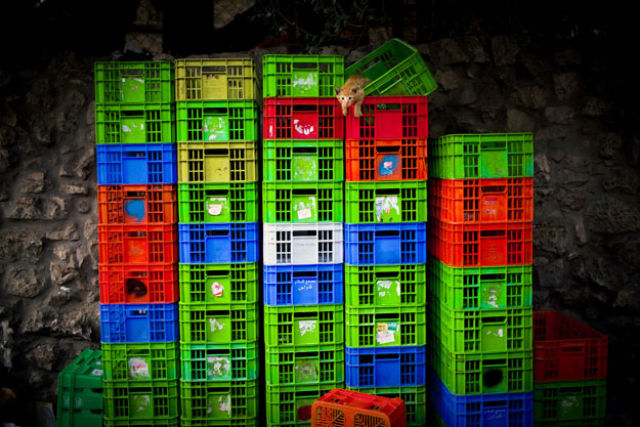 Daily picdump (158 pics)