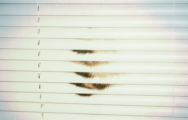 Daily picdump (158 pics)