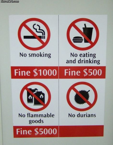 Daily picdump (111 pics)