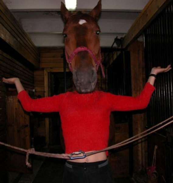 Hilarious WTF Faces (66 pics)