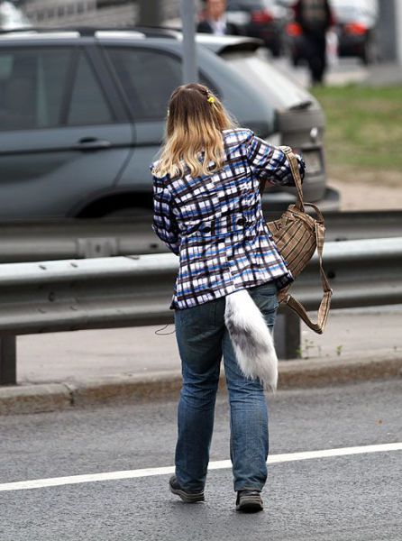 Daily picdump (115 pics)