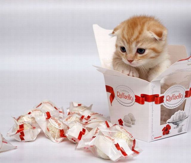 Daily picdump (115 pics)