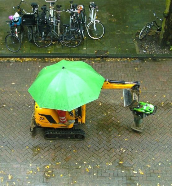 Daily picdump (115 pics)