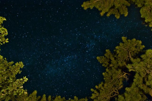 Daily picdump (115 pics)