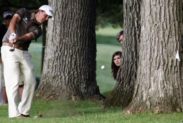 Daily picdump (115 pics)