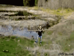 Funny Gif Collection (33 gifs)