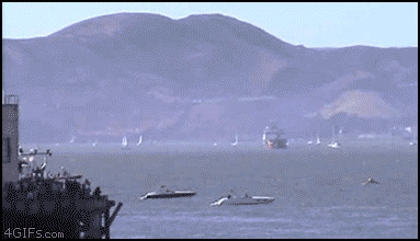 Funny Gif Collection (33 gifs)
