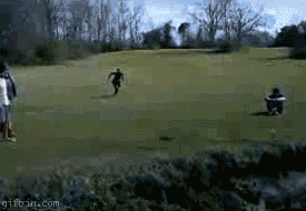 Funny Gif Collection (33 gifs)