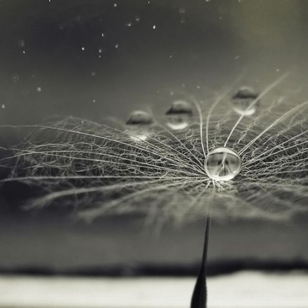 Daily picdump (133 pics)