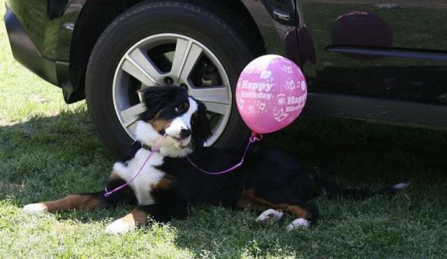 Daily picdump (133 pics)