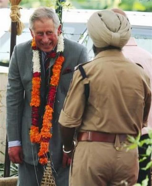 Daily picdump (133 pics)